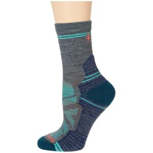 Smartwool Performance Hike Light Cushion Mid Crew Women's Crew Cut Socks Shoes Medium Gray: SM (Women's Shoe 4-6.5)